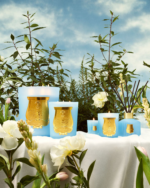 Le Diffuseur Versailles - Refill